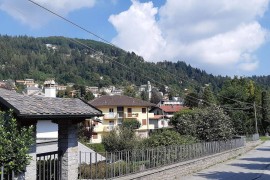 Camelia, suggestioni tra Lago e monti, Italia, Premeno, Comune di Premeno