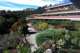 Studio con una vista mozzafiato sul Lago Maggiore, incluso 1 Pp Ged., Italy, Ghiffa, Lago Maggiore (Piemonte)