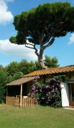 Appartamento 'I Cavalleggeri - Pegaso' con piscina condivisa, giardino condiviso e Wi-Fi, Italy, Costa degli Etruschi