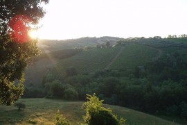 Quietly situated vacation home with pool for 12-14 pers., Italy, Cupramontana, Provincia di Ancona