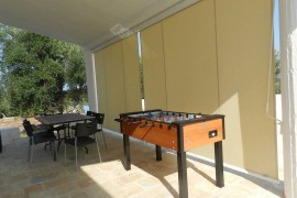 Perfect oasis among Olive Trees and Private Pool, for an authentic and free experience!