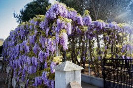 5 * Villa climatizzata per 10 persone, Italia, Cutrofiano, Provincia di Lecce