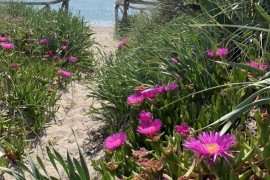 Direttamente sulla spiaggia. 6 posti letto in villa con accesso privato al mare, Italy, Scala di Furno, Golfo di Taranto